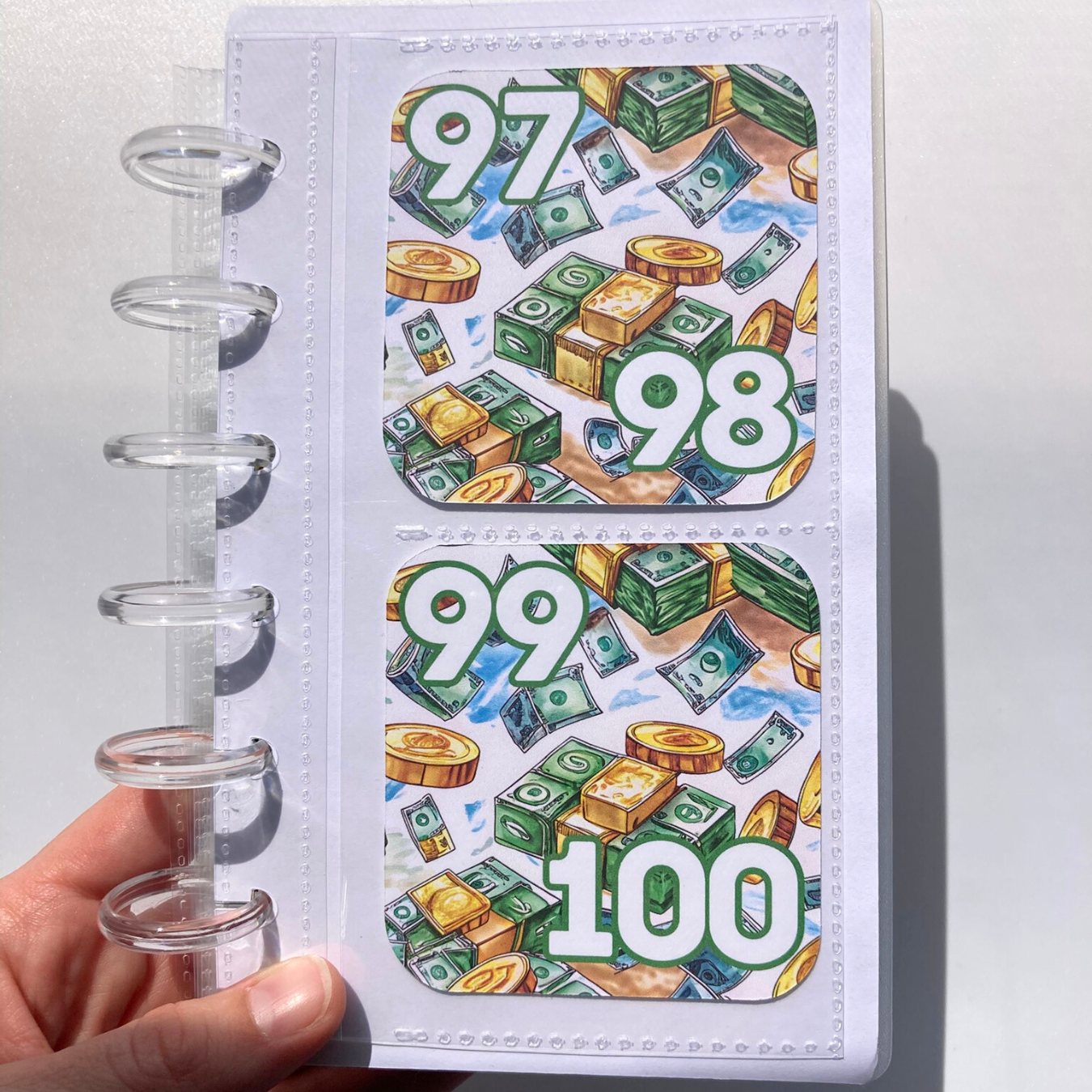 100 Envelope Savings Binder $5,050 Debt Payoff / Money Design | A6 Disc Binder | Cash Budgeting | Money Binder