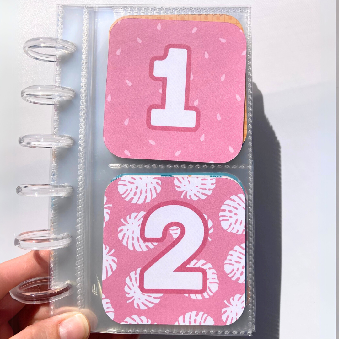 Summer v.1 | 52 Week Savings Challenge Binder | A6 Disc Binder | Cash Budgeting | Money Binder