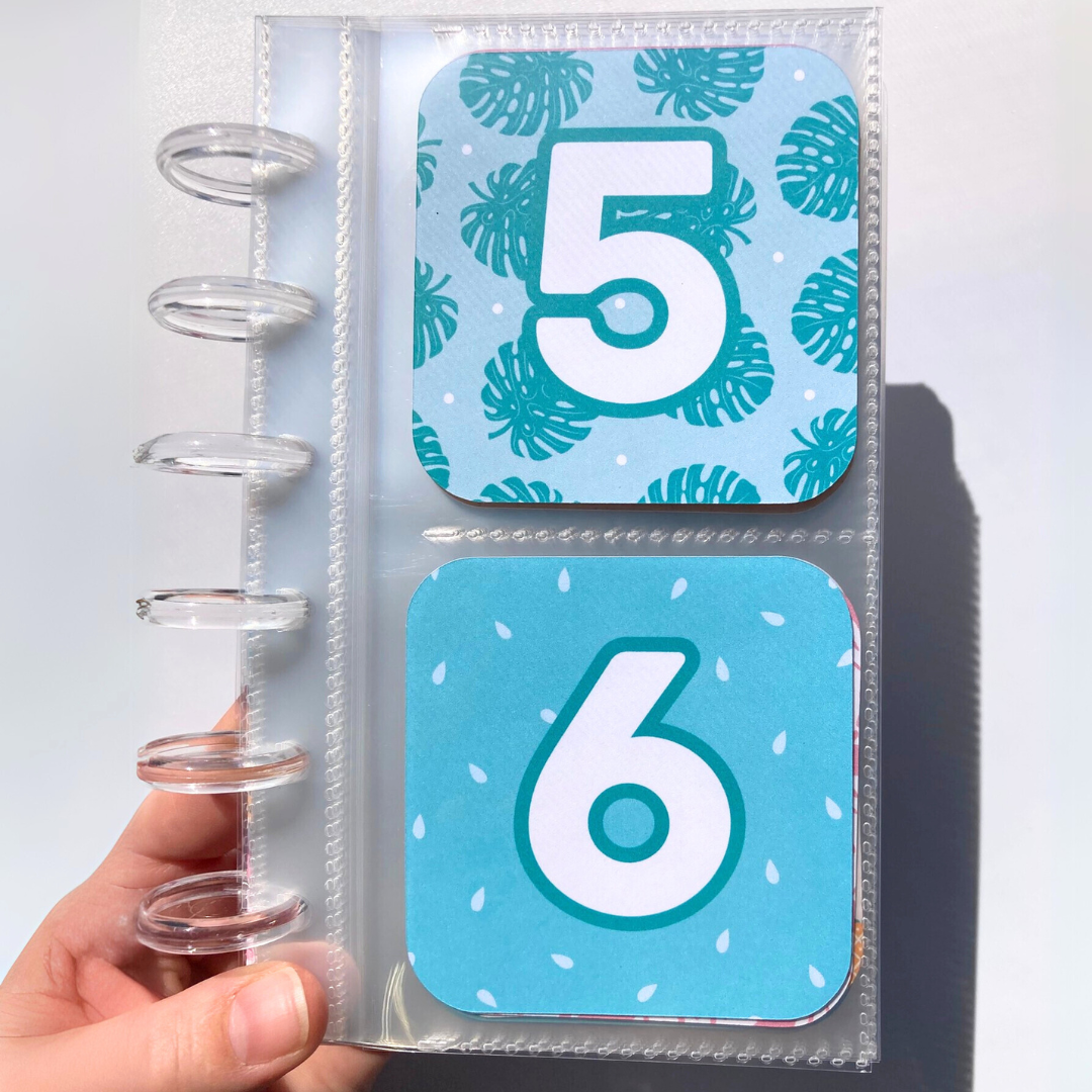 Summer v.1 | 52 Week Savings Challenge Binder | A6 Disc Binder | Cash Budgeting | Money Binder