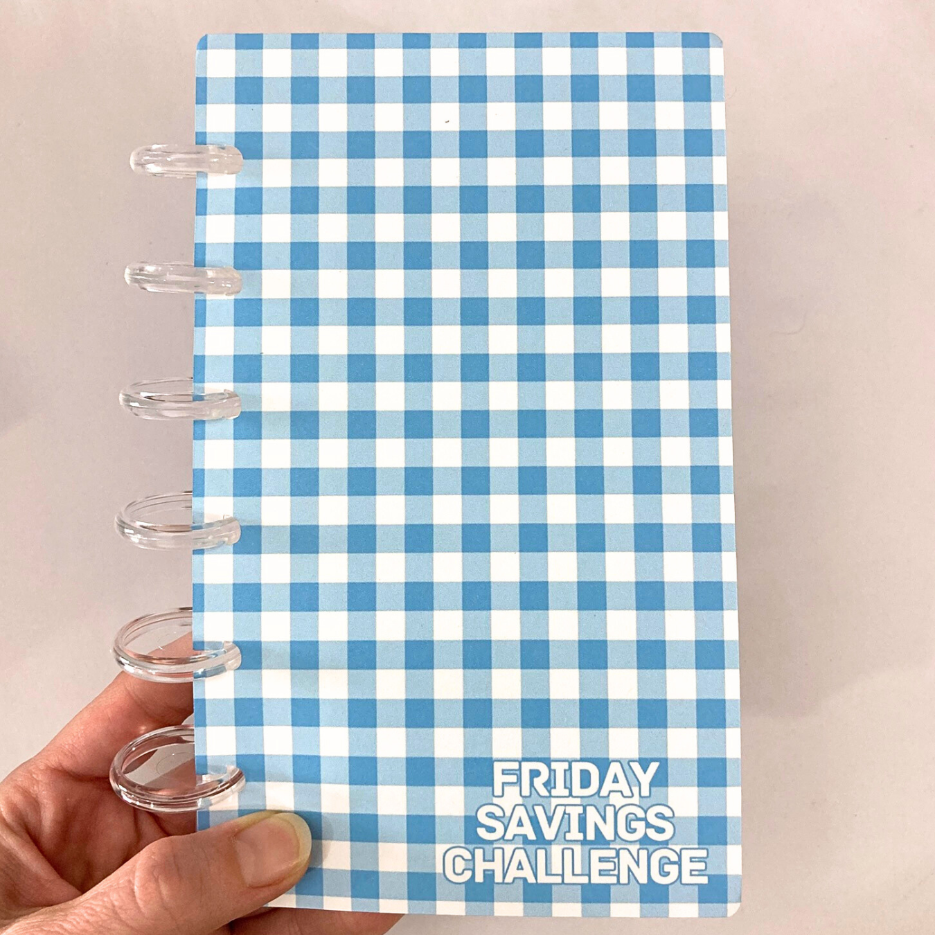 Rainbow Gingham | 2026 Friday Savings Challenge Binder | A6 Disc Binder | Cash Budgeting | Money Binder