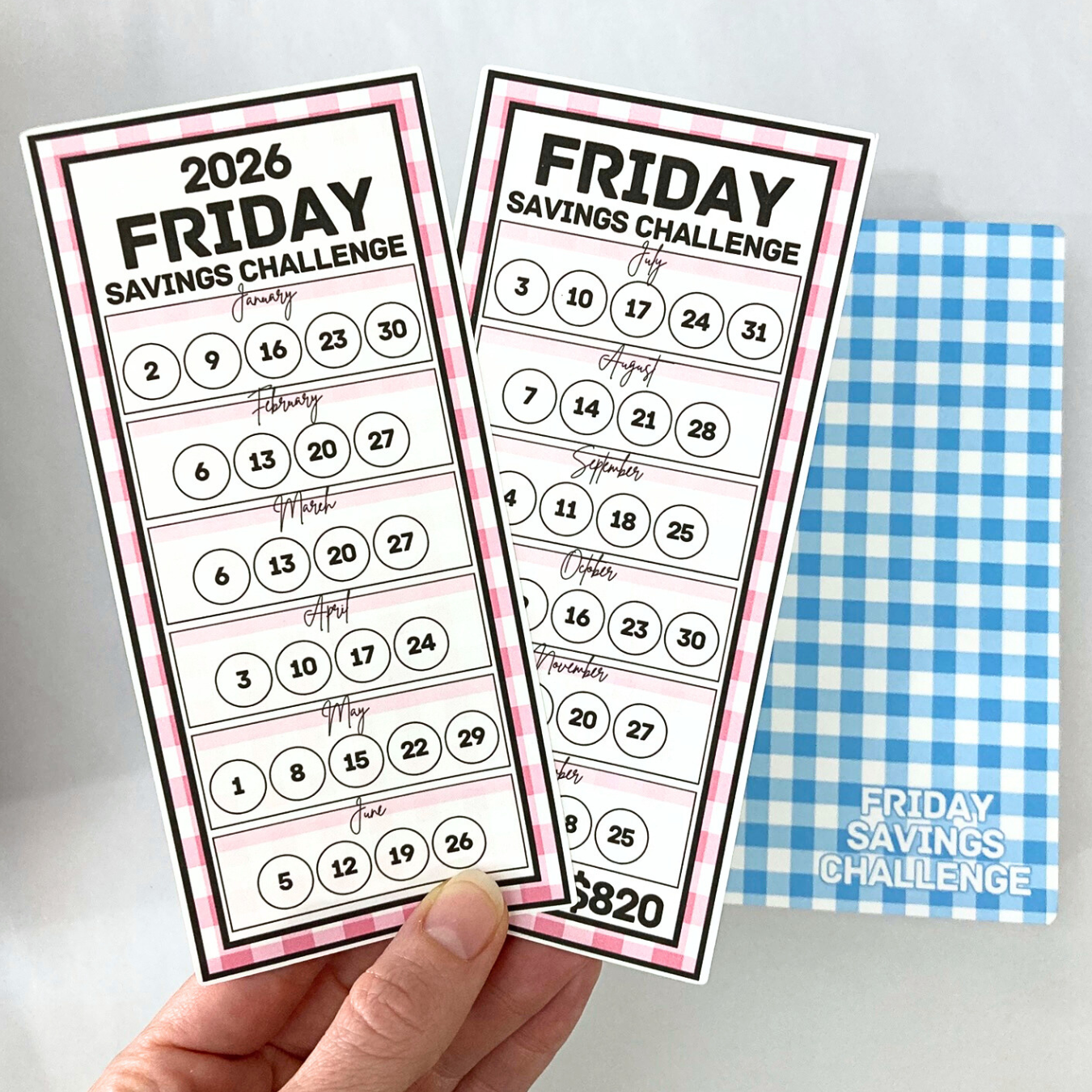 Rainbow Gingham | 2026 Friday Savings Challenge Binder | A6 Disc Binder | Cash Budgeting | Money Binder