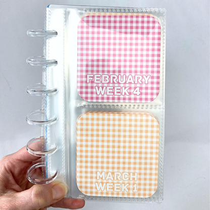 Rainbow Gingham | 2026 Friday Savings Challenge Binder | A6 Disc Binder | Cash Budgeting | Money Binder