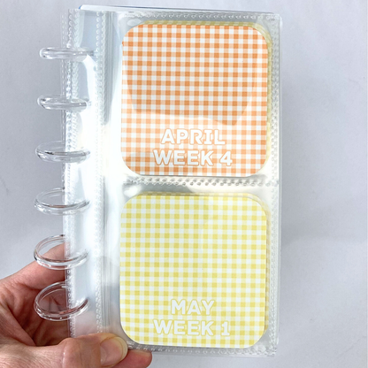 Rainbow Gingham | 2026 Friday Savings Challenge Binder | A6 Disc Binder | Cash Budgeting | Money Binder