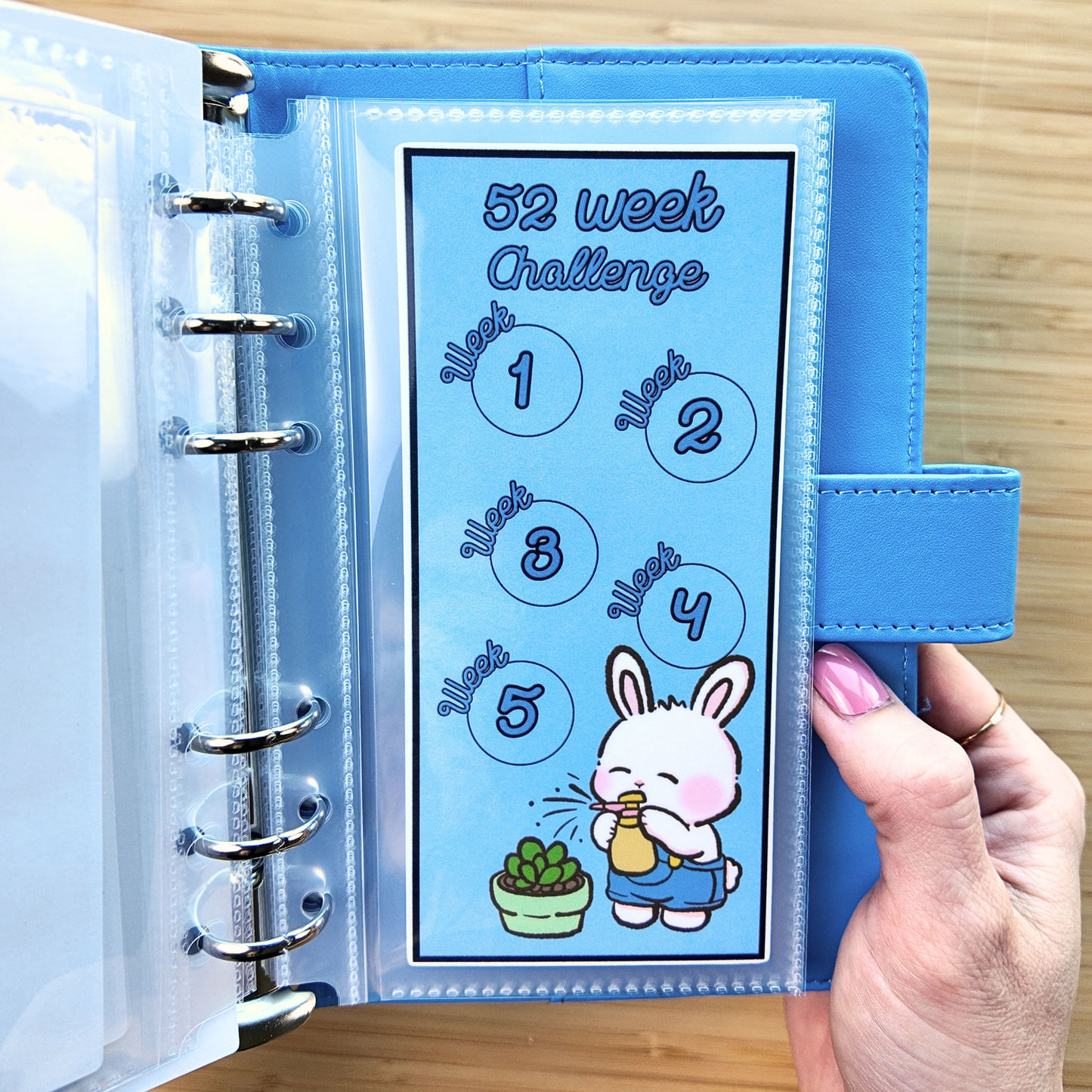 Future Growth Fund with Binder & 52 Week Challenge | Upgraded May Bundle | Laminated Savings Challenges and Envelopes | Ring or Disc Bound