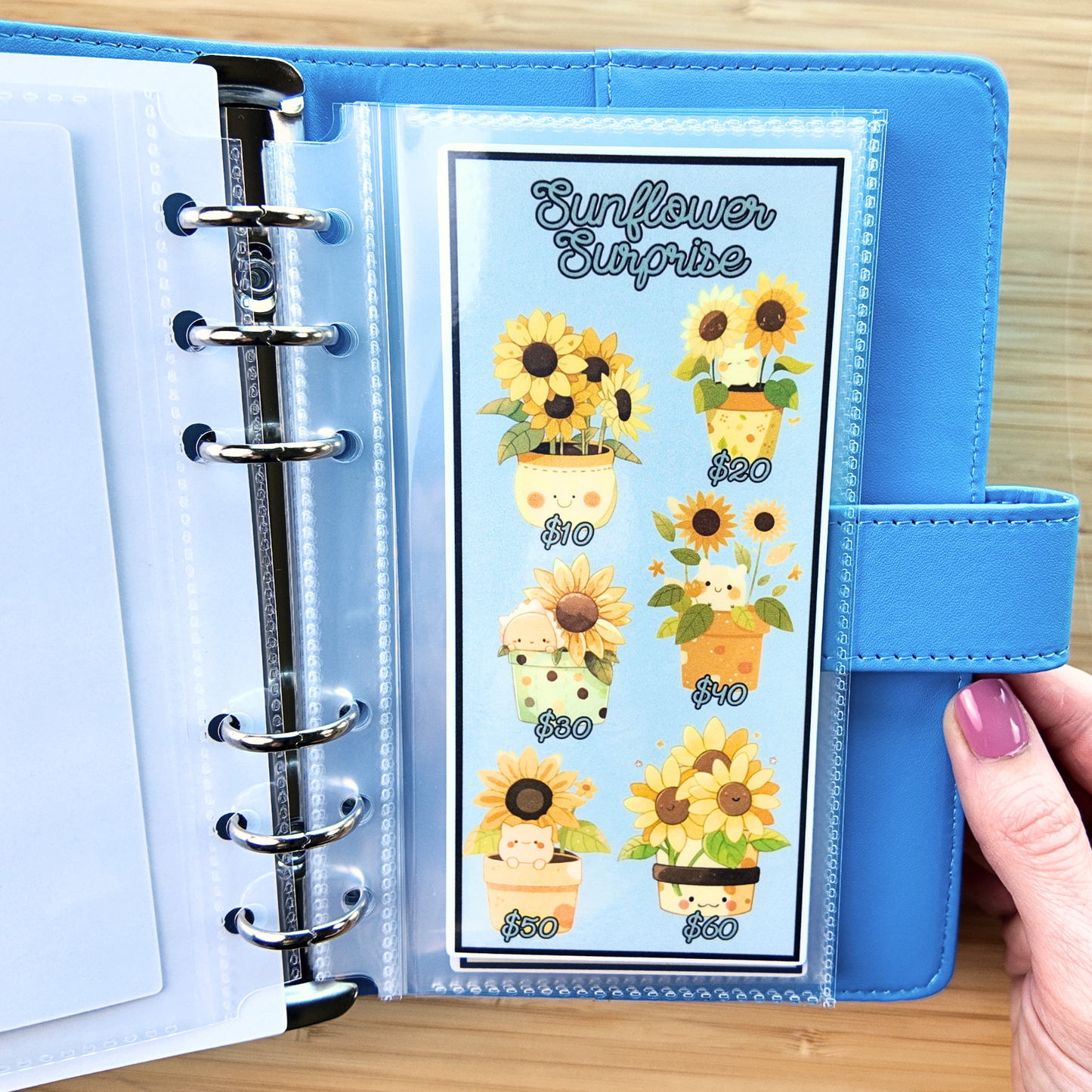 Future Growth Fund with Binder & 52 Week Challenge | Upgraded May Bundle | Laminated Savings Challenges and Envelopes | Ring or Disc Bound