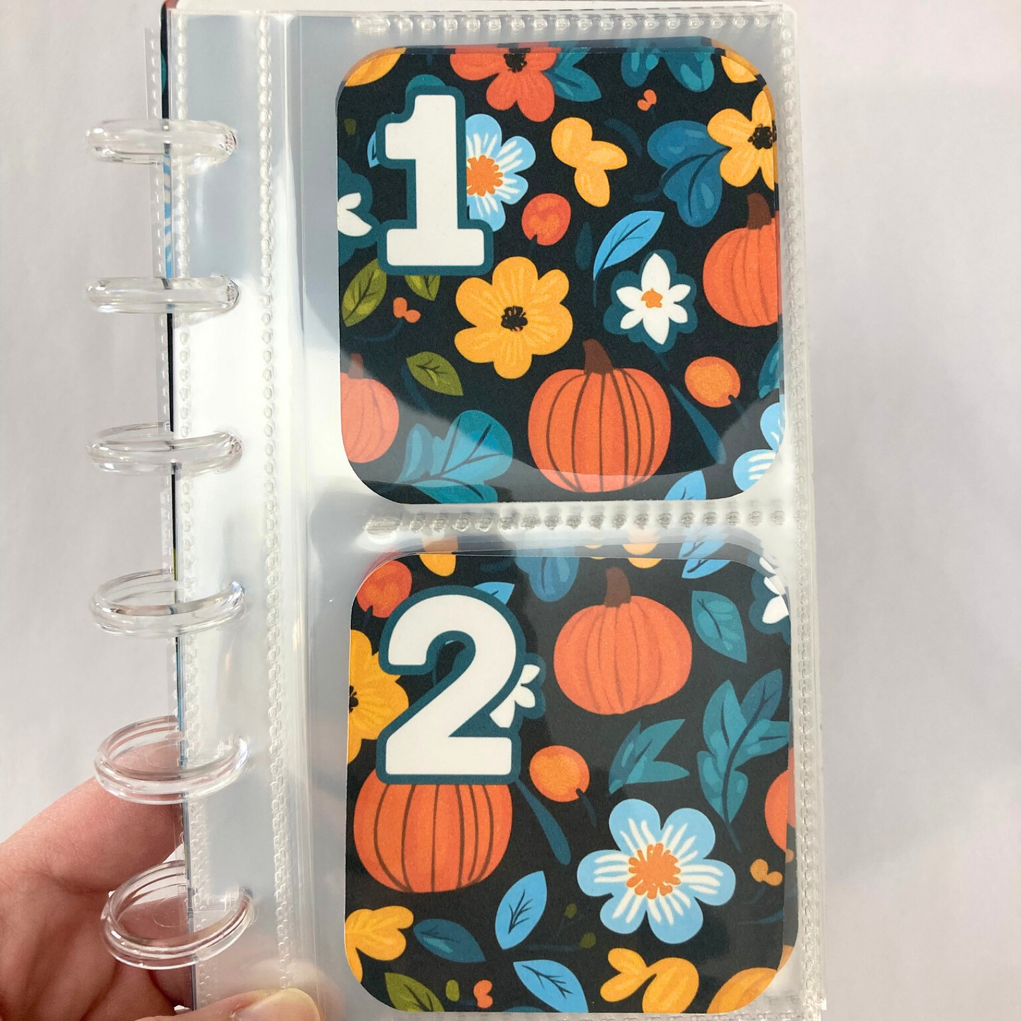 Monthly Challenge Binder Pumpkin Patch Design | Cash Budgeting | Money Binder | A6 Size | Disc or Ring Bound Binders