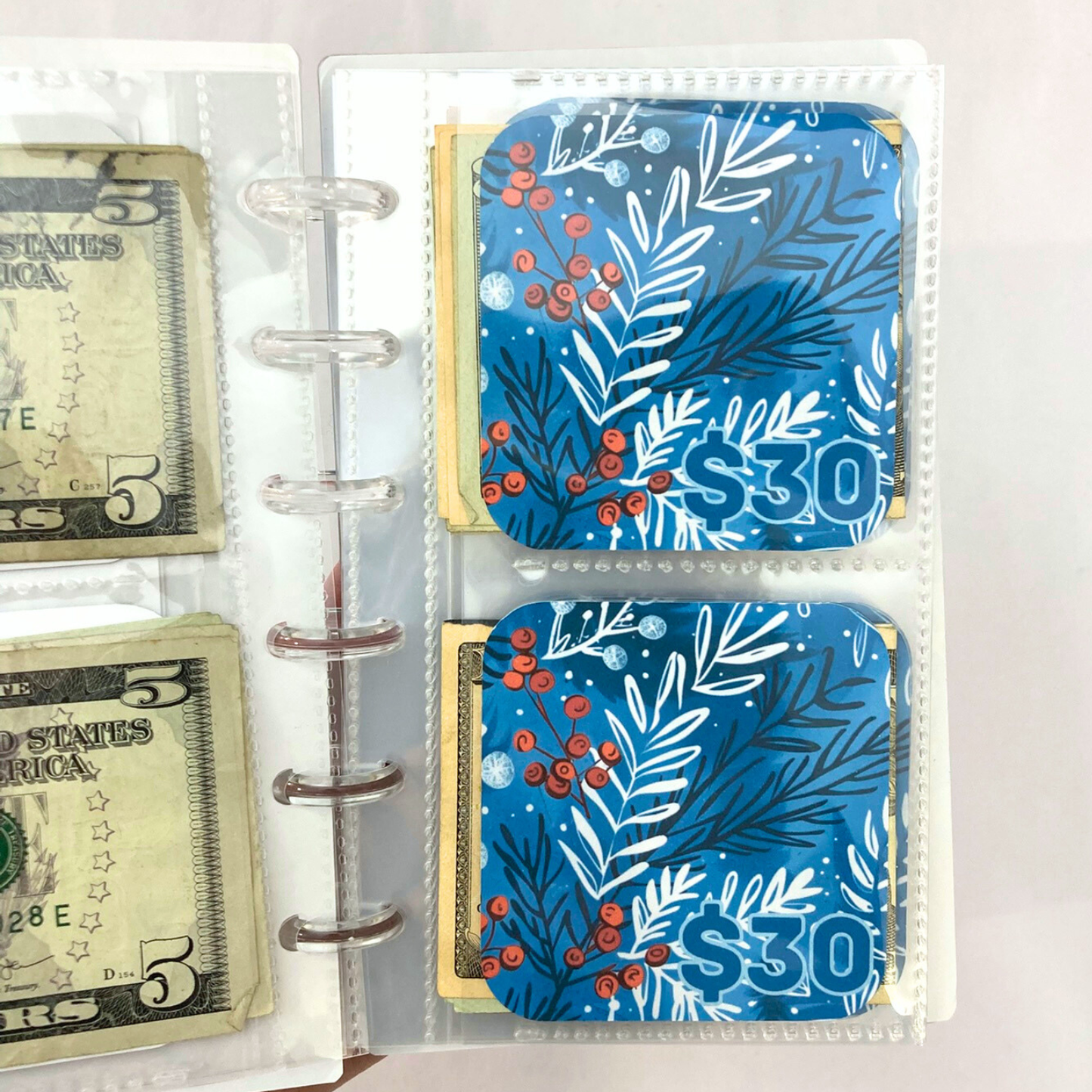 26 Week Savings Challenge Binder | $1,500 Savings | Winter Botanical Design | A6 Disc Binder | Cash Budgeting | Money Binder