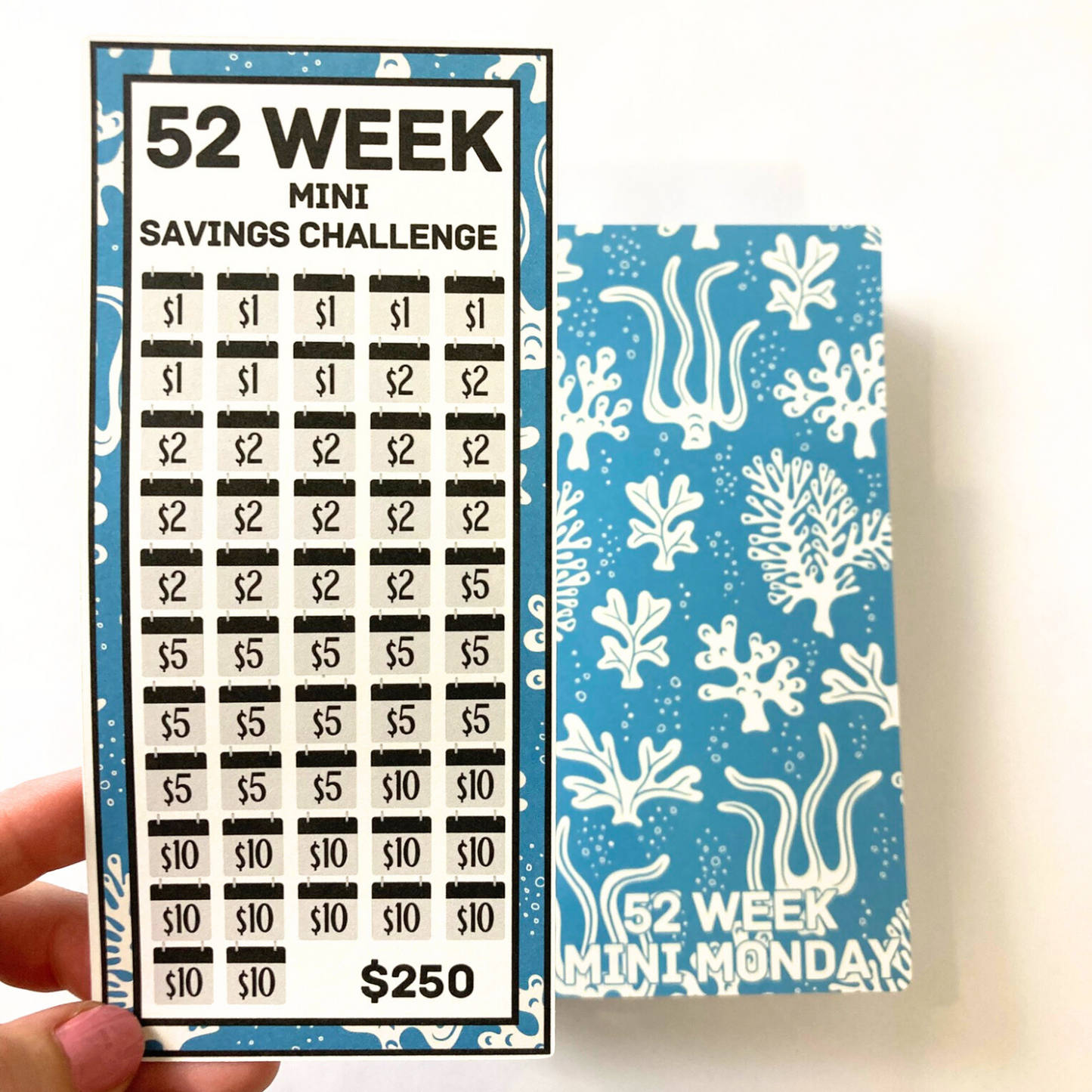 Mini Monday $250 Savings | Sea Flora Design | 52 Week Savings Challenge Binder | A6 Disc Binder | Cash Budgeting | Money Binder