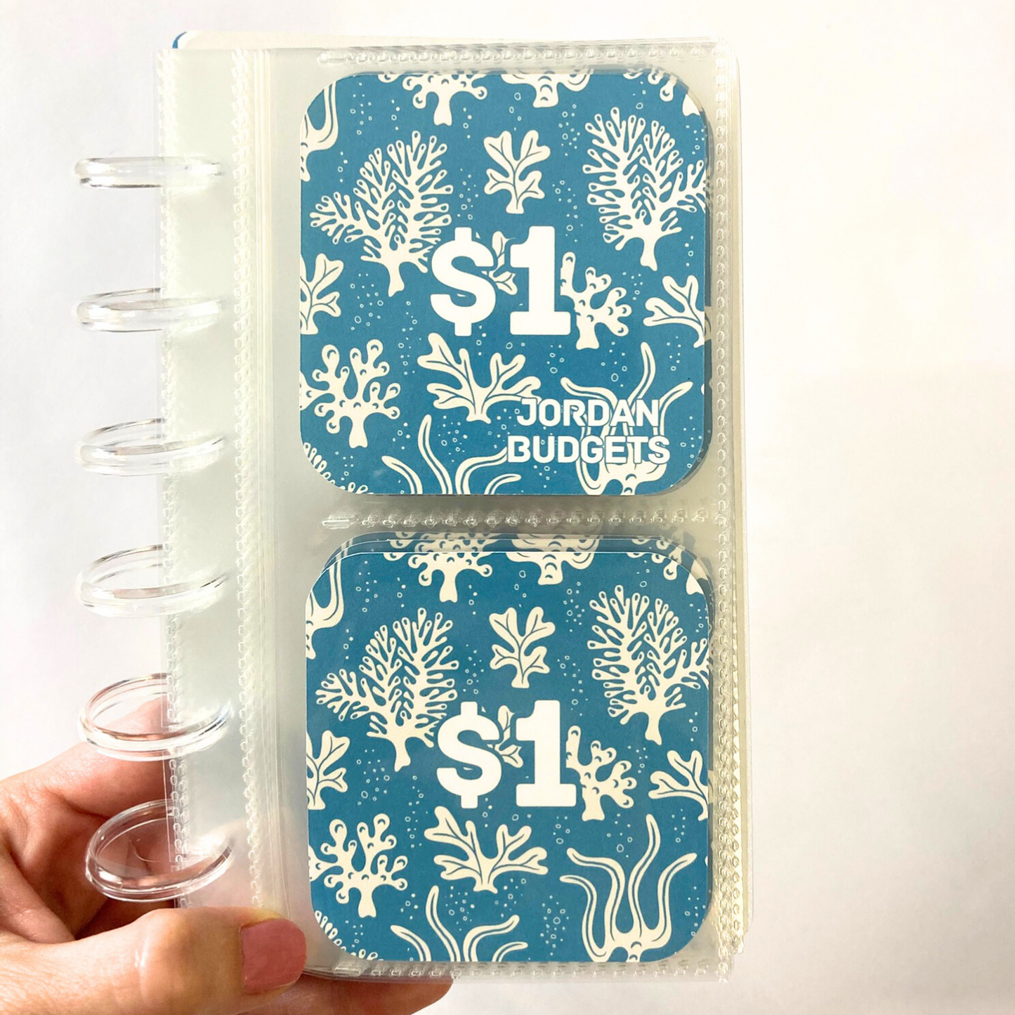 Mini Monday $250 Savings | Sea Flora Design | 52 Week Savings Challenge Binder | A6 Disc Binder | Cash Budgeting | Money Binder