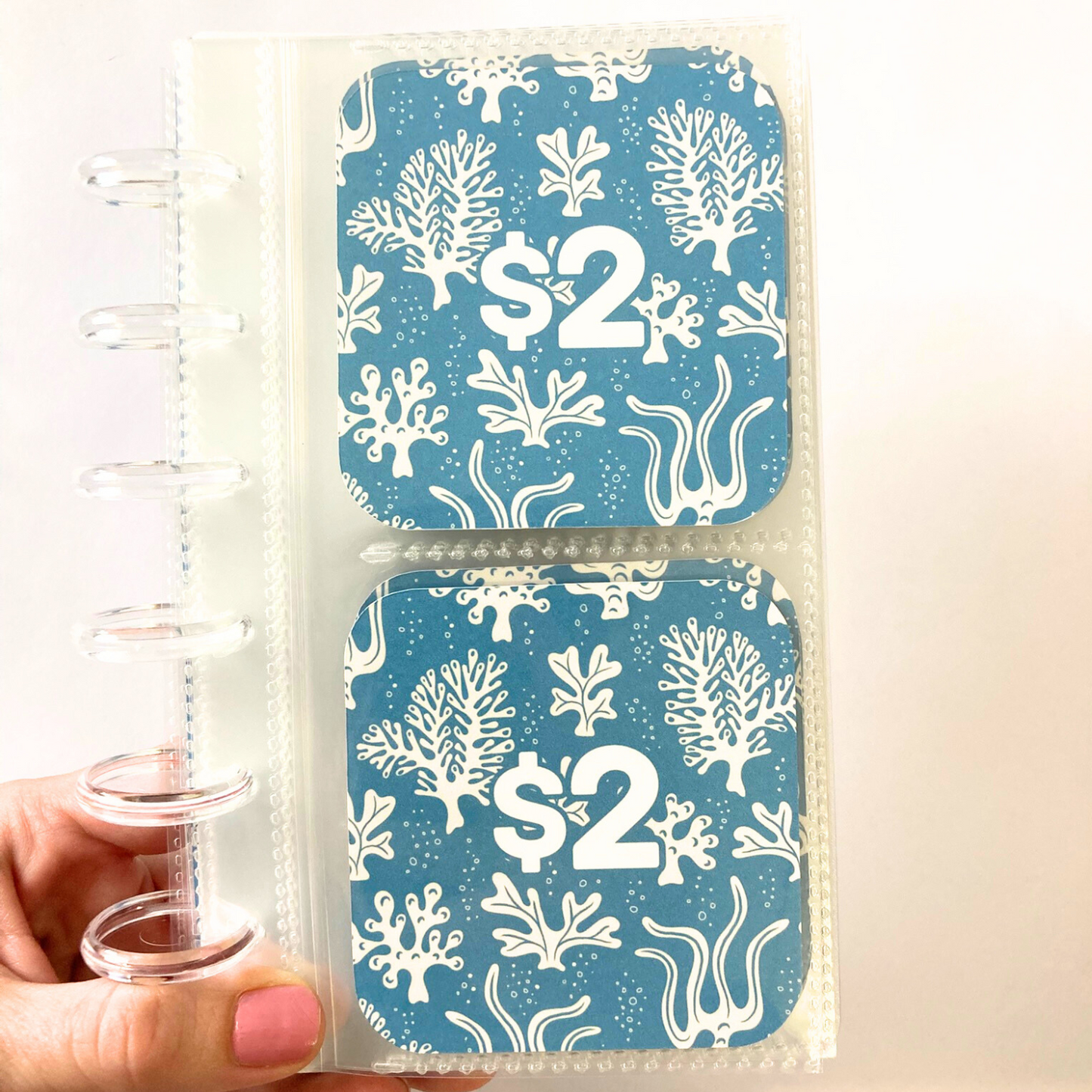 Mini Monday $250 Savings | Sea Flora Design | 52 Week Savings Challenge Binder | A6 Disc Binder | Cash Budgeting | Money Binder