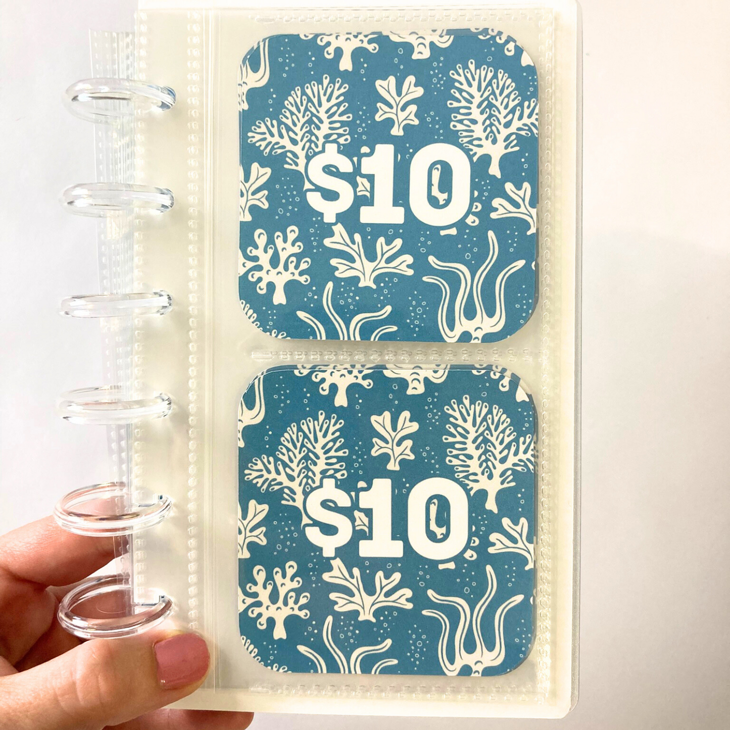Mini Monday $250 Savings | Sea Flora Design | 52 Week Savings Challenge Binder | A6 Disc Binder | Cash Budgeting | Money Binder