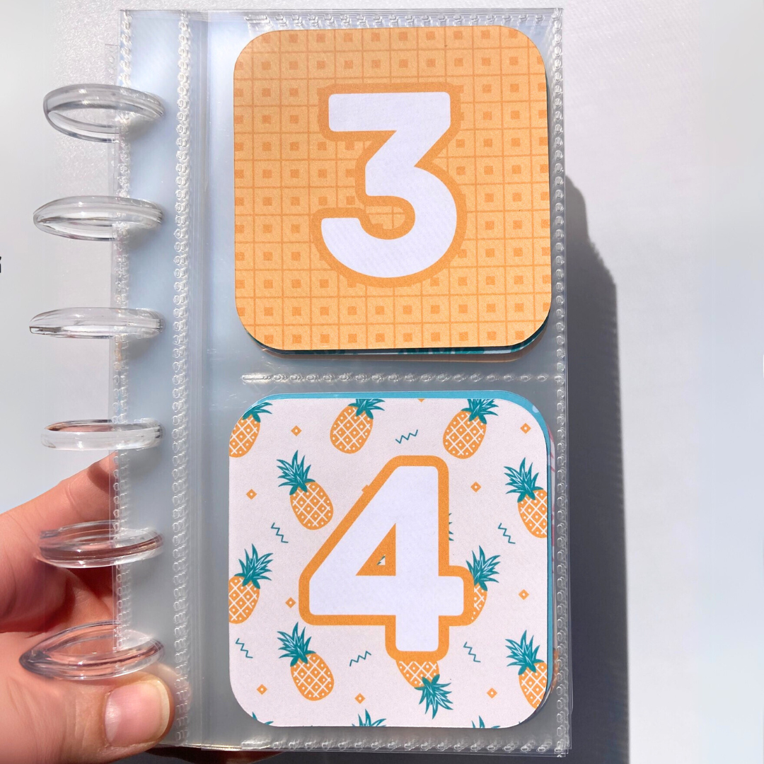 Summer v.1 | 52 Week Savings Challenge Binder | A6 Disc Binder | Cash Budgeting | Money Binder
